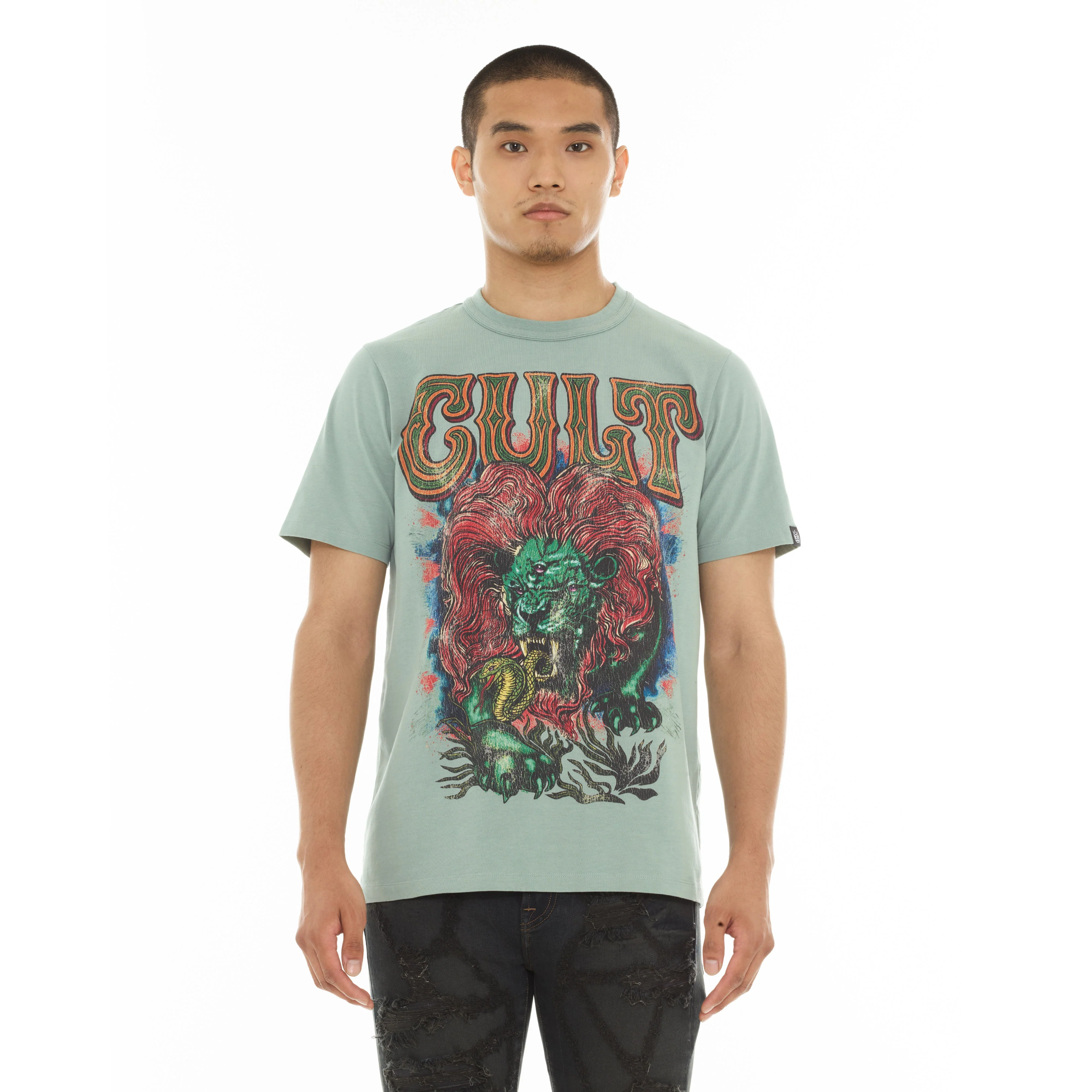 Lion T-Shirt - Granite Green - Image 2